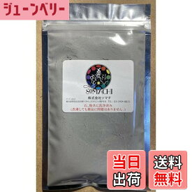 【送料無料】古代ソマチッド 粉タイプ100g ソマチッド SOMACHI ソマチ 色：グレー