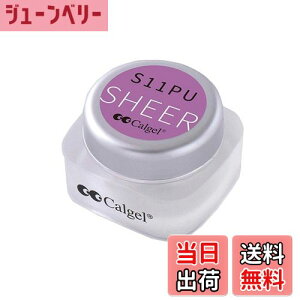 yzCalgel vX CGS11PU 2.5g [hAWXg FFp[v