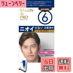 yzThvwAJ[YXs[fBipj FF6 RȍF