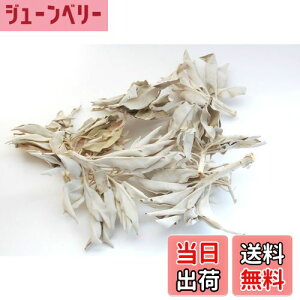 yz[Zhi̖@]Ch(쐶)zCgZ[W JtHjAY _͔| oG[Ve TCYFNX^[45g