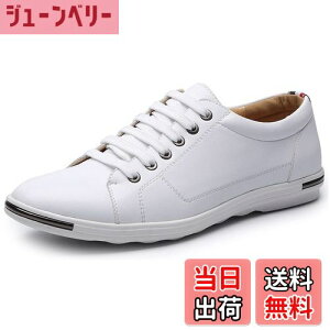 yz[Lopis] y Xj[J[ Y tFCNU[  V[Y [Jbg lC C ʋ ʊw jp  Sn FFzCgATCYF26.5 cm