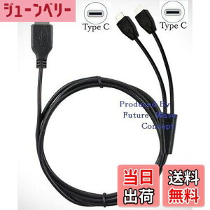 yzF.Wavey [d & f[^] Type C ҃P[u 1M F z 1{ USB[C X}z ^ubg2䓯ɏ[d TypeC YP[u P[u f[^ʐM 2 in 1 ֗ USBP[u + F.Wave 