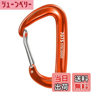 yzTITECOUGO y ω׏d 12KN(1200kg) Jri oRt @\[L[z_[ELvEnbN Ȃ]5FA1A2A4 FFD1200kg IWATCYF1 