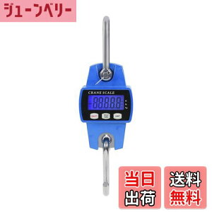 yzSTEELMIGHT LCDfW^\N[XP[ Pʐؑ։\ gю ݂蔉  YƗp FFu[ATCYF300kg