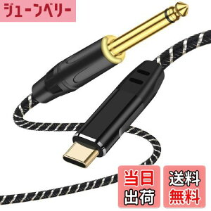 yzUSB Type-CM^[P[uAyp^CvC - 6.35mmIXϊR[h TCYF2M