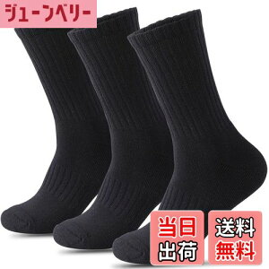 yz[HWVICTORYV] C Y X|[c\bNX  pC R hL  3Zbg 24-27cm  jO \bNX oXP oR Ɨp WjA w n  FF3 