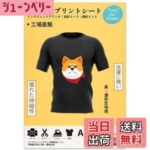 yzTransOurDream ^̓]ʃV[g ACvgV[g EZFnp FFEZFnpATCYFA4-50