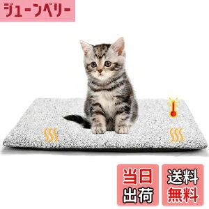 yzLittle Beanybgpzbg}bg dCsp ̉Œ~M ybgxbh L p xbh}bg _炩 g ybgNbV Iۉ H~ ΍ 􂦂  L ~