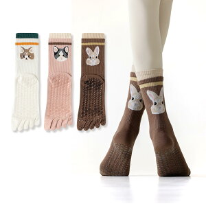 yz[Yazon] 5{w\bNX fB[X tH~ C ~ K seBX ܖ{w\bNXʋCz Obvt 5{wC Ȃۉ lG 3Zbg22-25cm  FF