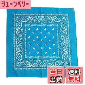 【送料無料】[Fosys] バンダナ 綿100% コットン カシューナッツ柄 55x55cm 正方形 大判 スカーフ ネッカチーフ 三角巾 メンズ レディース 色：4.スカイブルー、サイズ：55cmx5cm