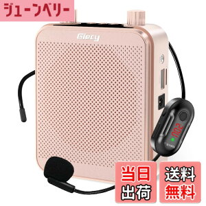 �y���������zGiecy �g���� ���C�����X�g���� �����g���� �|�[�^�u�� ���^���K�z��30W 2800mAh USB microSD �Ή� �g����n���Y�t���[ �L���ƃ��C�����XUHF�}�C�N�t�� �L�͂ɋ��t�̋���A�C�x���g�A��