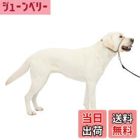 【送料無料】PetSafe（ペットセーフ） ジェントルリーダー 引っ張り防止 ヘッドカラー 犬用 散歩トレーニング 色：フォーン、サイズ：L