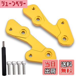 �y���������zLEDISHUN �o�b�N�X�e�b�v �A�W���X�^�[ 30mm �A�b�v 25mm �o�b�N �J���T�L ZX-25R(2020-2023) ZX-4R ZX-4RR (2023+)�ɓK�p �F�F�S�[���h