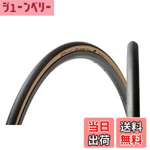 �y���������z�p�i���[�T�[(Panaracer) �N���[�U�[�v���X CLOSER PLUS 700x25C �N�����`���[ ��/�A���o�[ F725-CLSP-LX �F�F��/�A���o�[�A�T�C�Y�F700x25C (25-622)