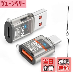 �y���������zleizhan USB Type-C �I�X����USB ���X�A�_�v�^�[�A10Gbps/120W Type-C����USB 3.1�����[�d�E�f�[�^�]���EOTG�A�_�v�^�[ �F�FTransparent black�A�T�C�Y�F120W USB - TypeC