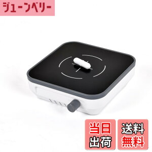 �y���������zLACHOI �~�j�X�^�[���[ ���a�@ 300-1500RPM�ϑ� ���^ �}�O�l�`�b�N�X�^�[���[ �T�C�Y�F�s���M-MINI