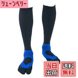 yz[e[W] AX[gEhPRO(v) v2 St\bNX (25-27cm, u[) { Y/fB[X ~ iK nC\bNX Stp C IF37 FFu[