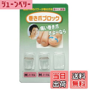 yz܃ubN ␳Pi MTCYm[} TCYF2 (x 1)