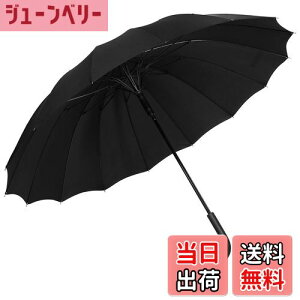 yzP Y P y amP 16{ 傫 ϕ  Vɋ xOXt@Co[ 傫 St J [|[`t( FFubNATCYF65 centimeters