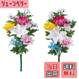 yzACfBA(Aimedia) p dp _Ip      Q ~ ފ c FFO[ATCYF45×25cm