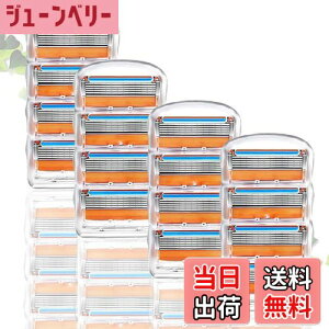 yzւnEЂ}jAJ~\i E J~\֐n 䓁 ւn YJ~\ 蓮J~\֐n Wbgt[Wƌ݊ FFXRS-JS-16