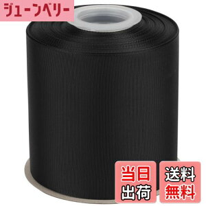 yzyIDECORRIBBONSzOO{ 100mm×S22m ubN(#030) 1[bE{wASEv[gbsOEDIY|