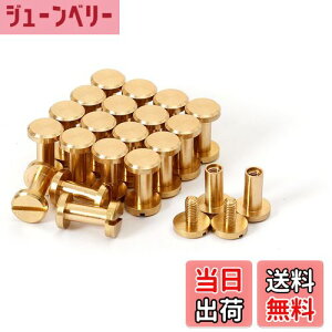 yzVJSXN[ 20 8×4×9mm ^JglW R` obO xg т傤 xbg X^bY p[c e xbg X^bh lW U[Ntg DIY nhCh p[