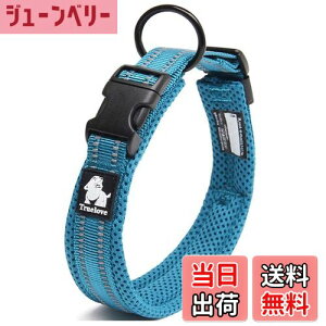 yzcocomall{X  ̎ Pp ^A^A^p ybgpi 3Mˍޗ iC ʋC e͐ \tgbV ȒP  ߉\(XXL, Cu