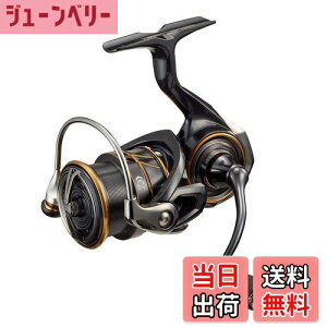 yz_C(DAIWA) XsjO 21 JfBA LT2500S