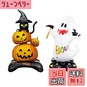 yzDFsucces nEB o[ 2 nEB  D ڂ S[Xg u  O  z[fR[Vp p[eB[ 