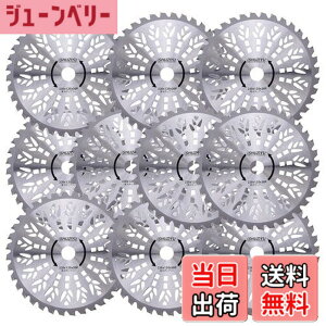 �y���������zSHUZIYU �����@�p�`�b�v�\�[ 230x36P 10���g