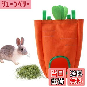 yzEsiFare q e a  z qtB[_[ U炩Ȃ bgt[h nX^[  P[W 􂦂 ݂艺  e