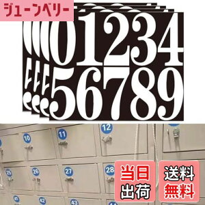 yzEsiFare  V[ 傫 h XebJ[ io[XebJ[ ԍV[ uI ڗXebJ[ x io[ (10cm4) ()