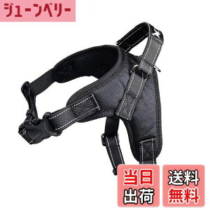 yzpn[lX[_[Zbg   bV \tg Ȃ ʋC ߉\ h~ ^ ^ U/P/o| (XS, ubN)