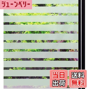 yzQualsen KXtB ډB V[g  tB  ߂V[g ptB œ\  Ռ fM ՔM Ih~ uvJbg ֖ډB Uh~ KX {