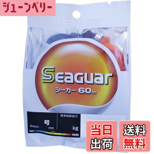 yzV[K[(Seaguar) nX V[K[ 60m 6 NA