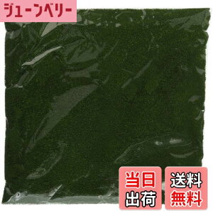 yzTOMIX J[pE_[ _[NO[ 8106 WI}pi