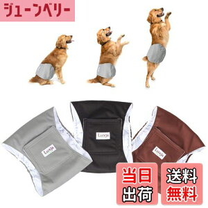 yzLuxja p}i[xg j̎q bV h Lk 3_Zbg }[LO R炵 IVbR΍ o  p(M,+O[+R[q[F)