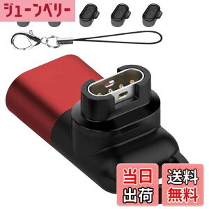 yzGarmin(K[~)pϊA_v^[i1j L^Type-CΉ + hovO [d|[gpi5jTPUf X}[gEIb`ϊA_v^[ K[~p ϊA_v^[ USB Type C ϊA_v