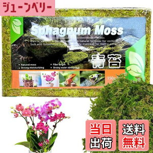 yzDEVENTORZ  - VR  k ~YSP 150g Ӓ A ւ |p |{y ݂|py yǍ kp엿p~YSP  h{fLx A