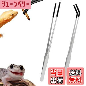 yzDeiboun sZbg  XeXX`[঒މagO 2{Zbg ŃGNXgO Xg[g&J[uOsZbg   JG gJQ ac[