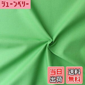 yz{Rtf(Nippon Chuko) GCeBXNGA n n 100% V[eBO JoO[ O[n Ж108cm×50cmؔJbg KD4630-211-50CM