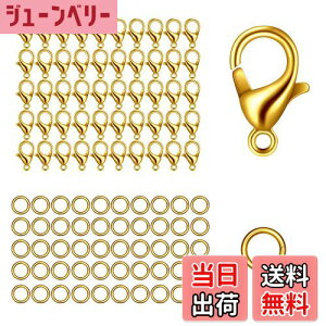 yzyBEAUTY PLAYERzJjJ p[c 10mm50 ۃJ5mm100 KCS[h Kl`F[ lbNX uXbg ANbg  ߋ ANZT[ DIYޗ (10mmKCS[h)