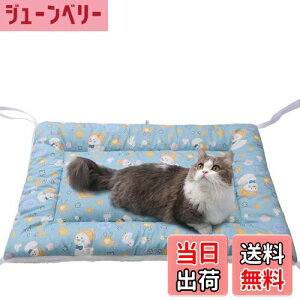 yzBidason ybg NbV xbh lRt YȂ P[Wp\ o[Vu ӂӂ _炩 g  XNGA^ }bg ybgp\t@[ ۉzc  L ʔN 