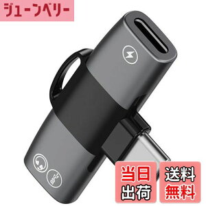 yzyiPhone 16/15 V[YΉz 2in1 ^CvC Czϊ A_v^ Topamz yȂ[dł Type-C to fAUSB-C CzWbN PD 100W}[d DAC Hi-Fi ʘb/ʒ