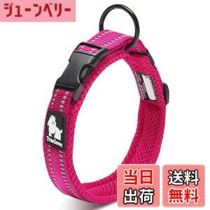 �y���������zcocomall���{�����X ����� ���̎�� ���p�P����� ���^�A���^�A��^���p��� �y�b�g�p�i 3M���ˍޗ� �i�C������ �ʋC�� �e�͐� �\�t�g ���߉\ (L, �s���N)