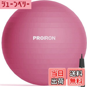 �y���������zPROIRON �o�����X�{�[�� 65cm ���b�h �n���h�|���v�t�� �^���s���̉���