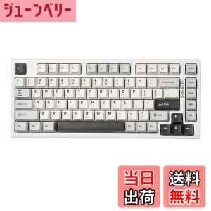 �y���������zYUNZII YZ75 75% �z�b�g�X���b�v�Ή����C�����X�Q�[�~���O�L�[�{�[�h RGB�o�b�N���C�g BT5.0/2.4G/USB-C�ADye Sub PBT�L�[�L���b�v Linux/Win/Mac�p �Z�K�F�؎擾�iGateron G Pro ����,�z���C�g)