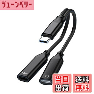 �y���������zLUYING �f���A��USB-C�w�b�h�t�H��&�[�d�A�_�v�^ DAC���� �n�C���]���� PD60W�����[�d�E�����M�ň��S ���ʒ���/�ʘb/���y�Ή� iPad Pro/Android/Type C�Ȃǋ@��ɓK�p �u���b�N