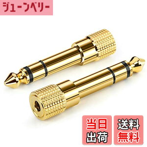 �y���������zAncable �C���z���W���b�N �ϊ� �v���O 2�{ �X�e���I�~�j�v���O 6.35mm 3.5mm �ϊ� �A�_�v�^ ���X�I�X �w�b�h�z�� �A���v �d�q�s�A�m �C���z���ȂǗp
